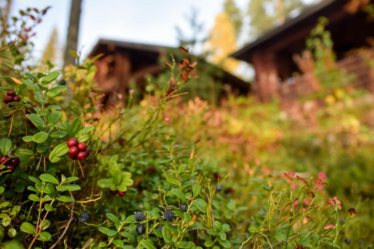 Lomalehto Cottages Ahvionniemi Exterior photo